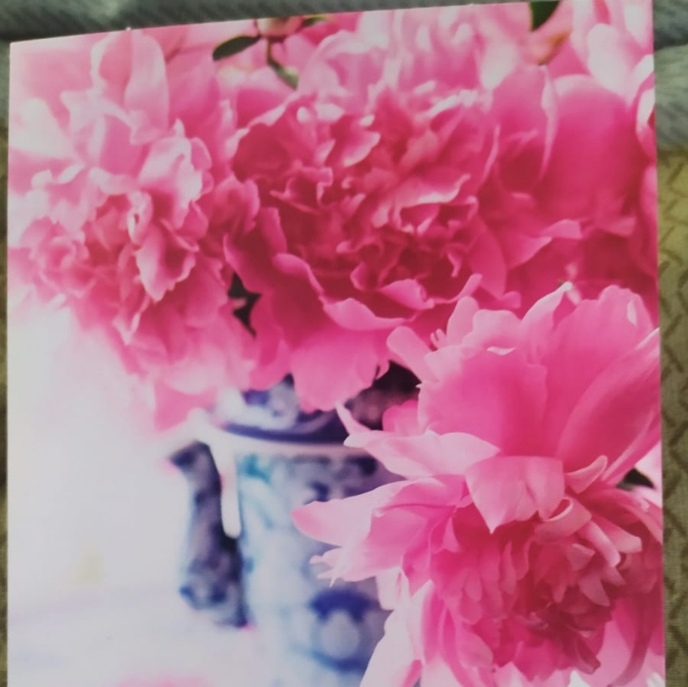 Meet your Posher, Sheena